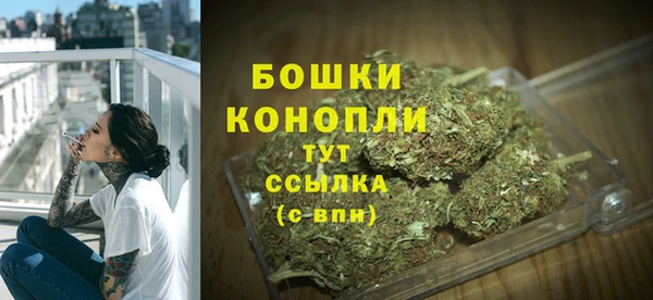 стаф Мегион