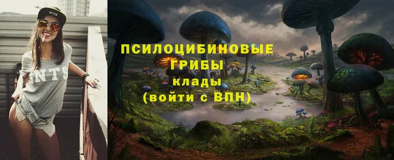 где продают наркотики  кракен сайт  Псилоцибиновые грибы мухоморы  Карабаш 